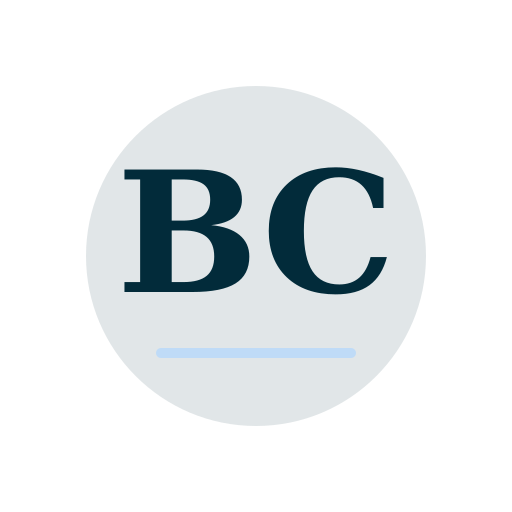 Bill Chimney Services logo